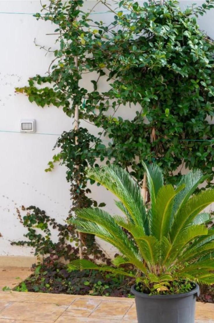 Apartament Aurora E Alba Casalabate Zewnętrze zdjęcie